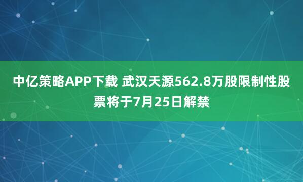 中亿策略APP下载 武汉天源562.8万股限制性股票将于7月25日解禁