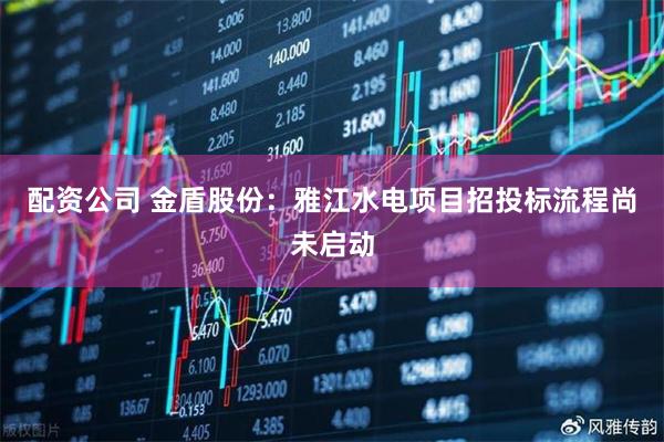 配资公司 金盾股份：雅江水电项目招投标流程尚未启动