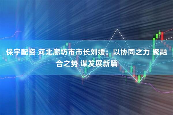 保宇配资 河北廊坊市市长刘媛：以协同之力 聚融合之势 谋发展新篇